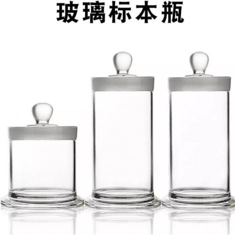 玻璃標(biāo)本瓶