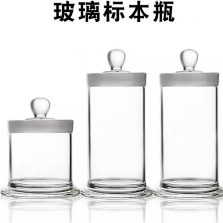 玻璃標(biāo)本瓶