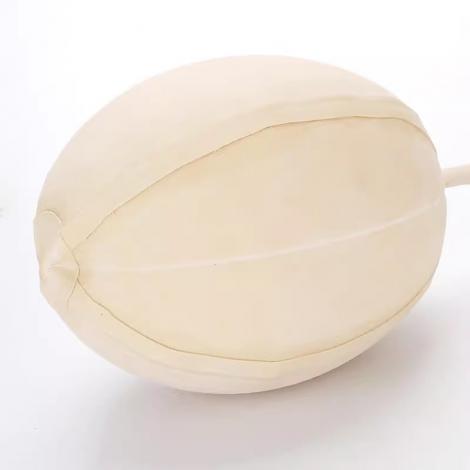 乳膠球膽