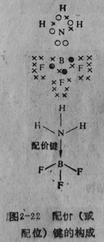 配價(jià)或配位鍵的構(gòu)成
