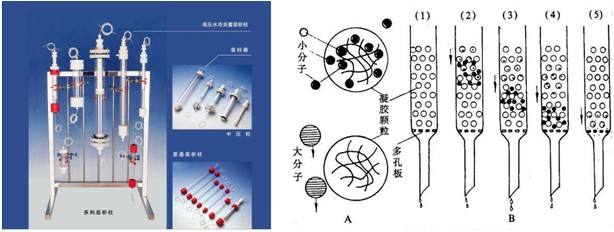 高聚物純化技術(shù)的實(shí)驗(yàn)