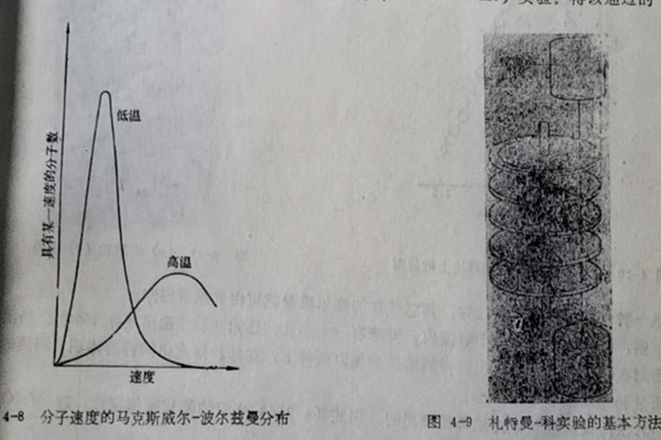 札特曼-科實(shí)驗的基本方法
