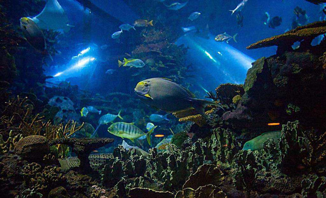 氧從空氣中侵入海洋