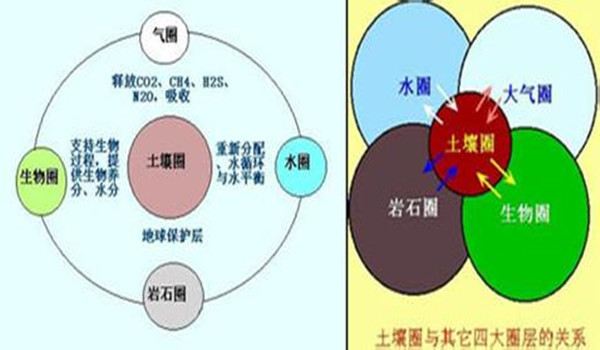 化學(xué)和生物學(xué)的特性