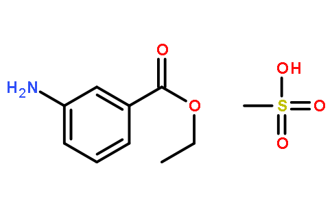 3-乙氧?；桨芳谆撬猁}
