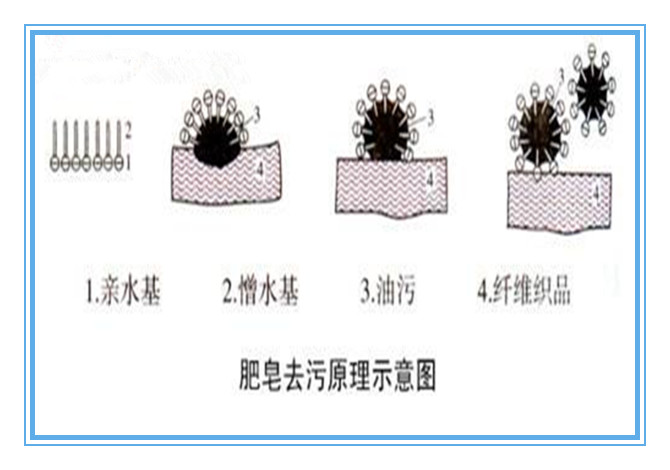 肥皂的去污
