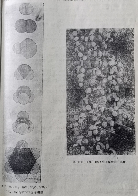 化合物結(jié)構(gòu)
