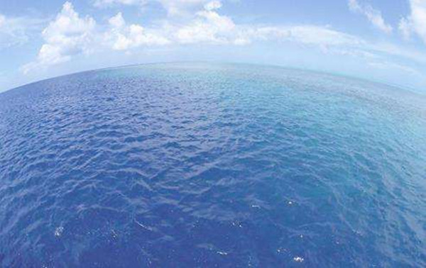 設(shè)想的原始海水化學組分