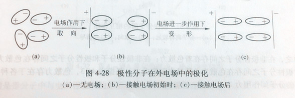 極性分子在外電場(chǎng)中的極化